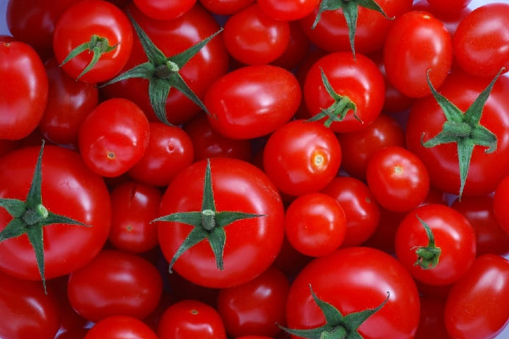 الطماطم المغربية الأكثر غزوا لأسواق أوروبا