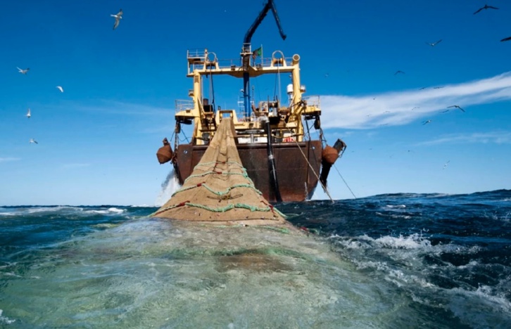 Souveraineté et partenariat stratégique... équilibres dans l'accord de pêche maritime