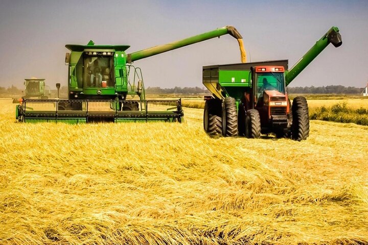 البنك الدولي يعزز دعم قطاع الفلاحة والزراعة في المغرب لمواجهة التحديات المناخية