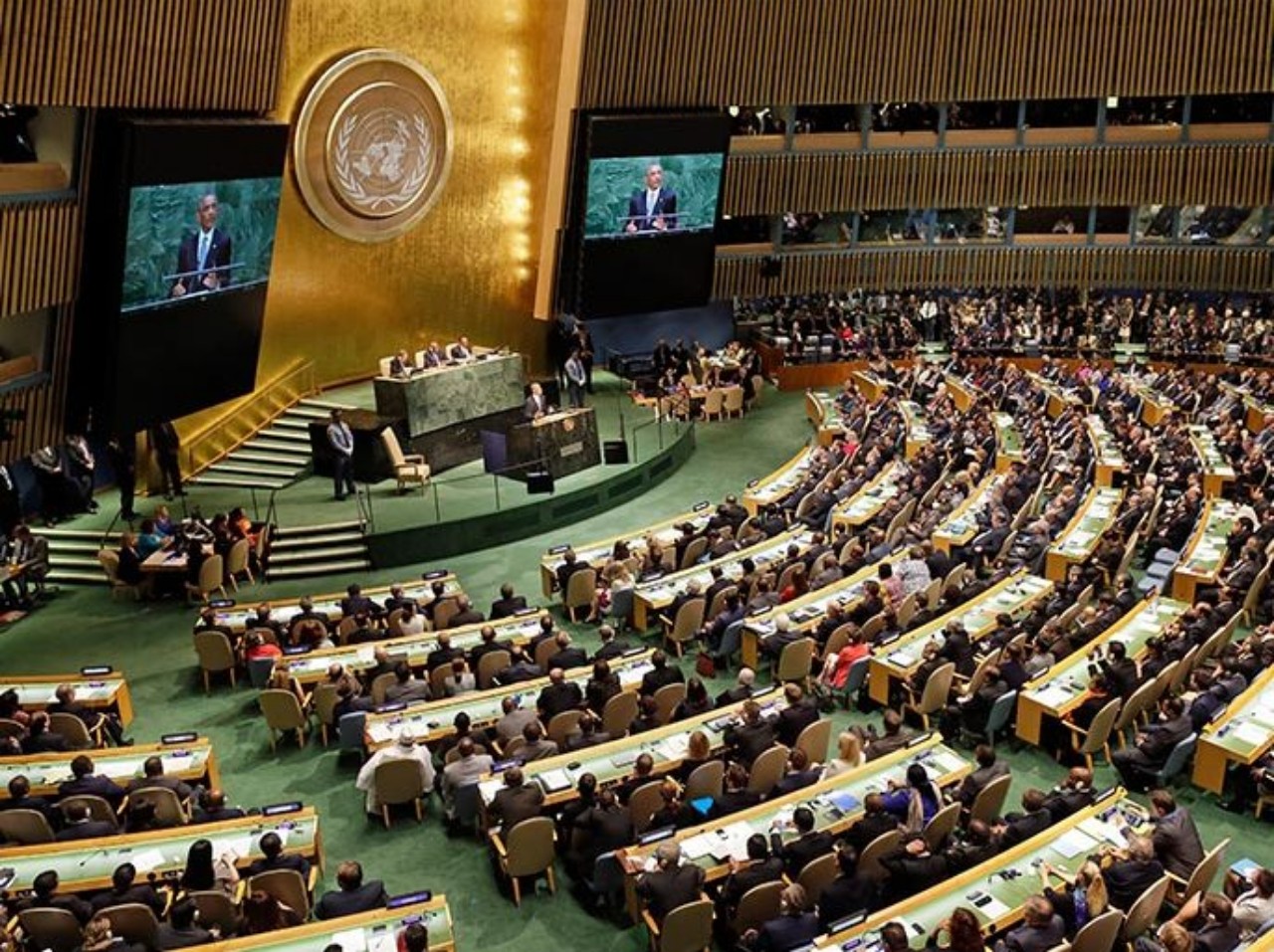 مجلس الأمم المتحدة