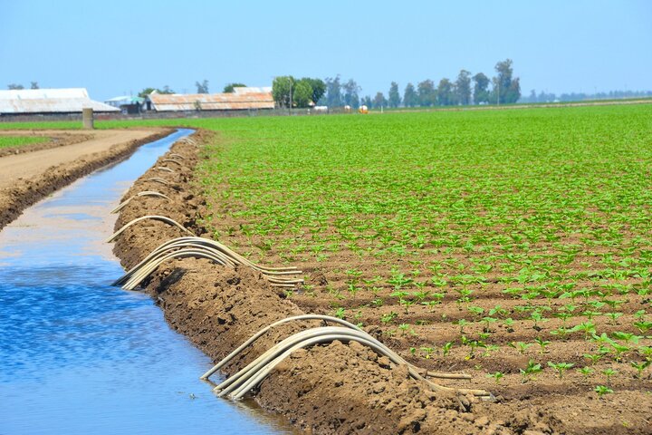 تحسن نسبي في قطاع الزراعة بالمغرب رغم تكرار سنوات الجفاف