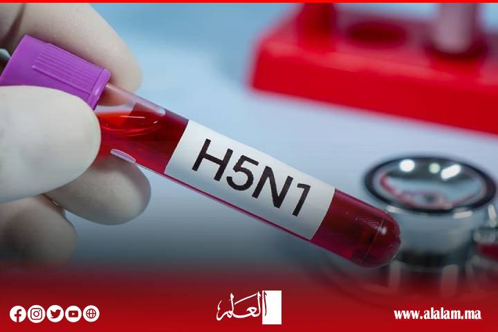 فيروس "H5N1".. سلالة جديدة من إنفلونزا الطيور تنتشر