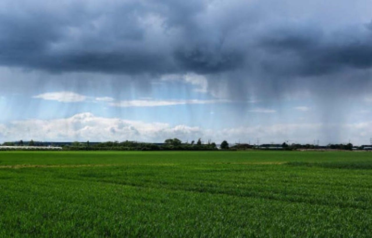 Les dernières pluies relancent l'optimisme dans le cœur des agriculteurs de l'Est.