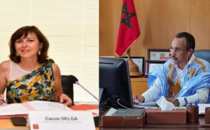 تعزيز التعاون الاقتصادي بين المغرب وجهة أوكسيتانيا موضوع ندوة افتراضية