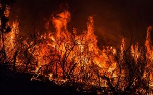 المغرب يقدم تعازيه للجزائر في ضحايا حرائق الغابات