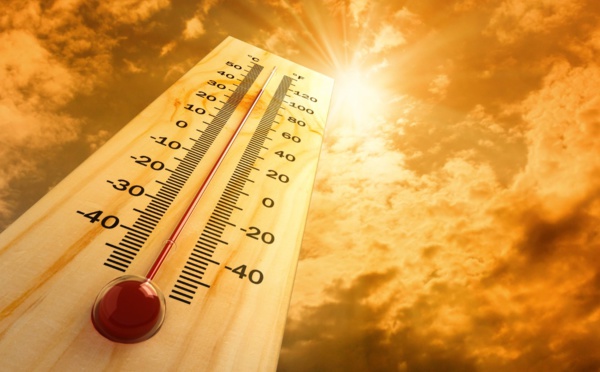 خبراء وباحثون ينبهون من مخاطر ارتفاع درجة الحرارة على الإنسان