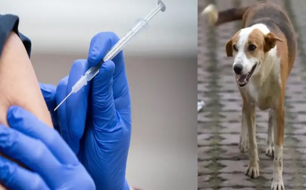 كلب شرس هاجم مواطنين بأيت ملول والمكتب الصحي الجماعي والسلطات تتدخل لتطعيم الجرحى