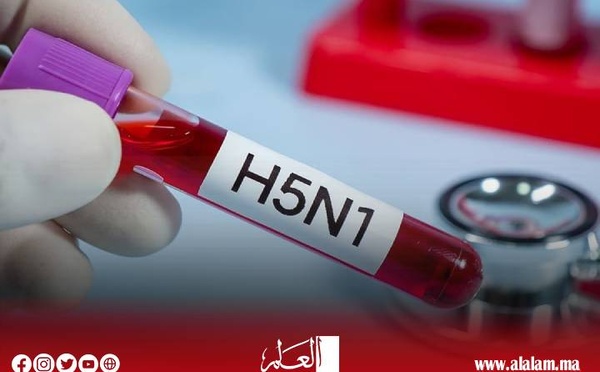 فيروس "H5N1".. سلالة جديدة من إنفلونزا الطيور تنتشر