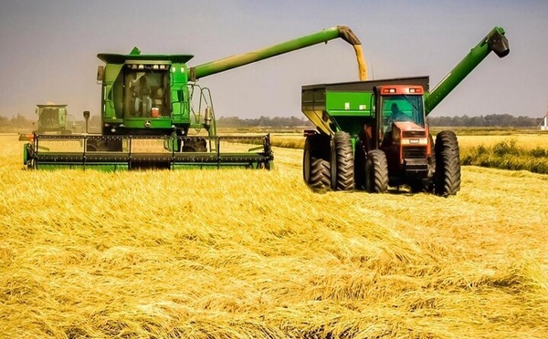 البنك الدولي يعزز دعم قطاع الفلاحة والزراعة في المغرب لمواجهة التحديات المناخية