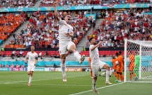 بشكل مفاجئ.. هولندا تودع كأس أروبا والتشيك يعبر إلى دور الثمانية