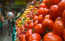 أمام اكتساح طماطم المغرب السوق الإسباني.. المنتجون الإسبان يطلبون المساعدة