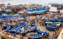 مفرغات الصيد الساحلي والتقليدي تشهد انخفاضاً عند متم غشت 2023