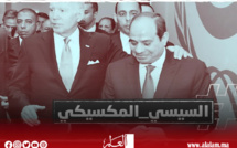زلة اللسان الأخيرة للرئيس الأمريكي حول رئيس مصر تثير سخرية صحفيين وماسك