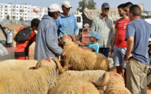 المغاربة يستقبلون عيد الأضحى في ظل ندرة المياه وارتفاع الأسعار