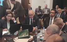 وزير الفلاحة: المحطة الرياضية العالمية 2030 محك حقيقي للمنظومة الغذائية والاستهلاكية للمغرب